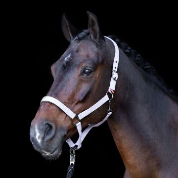 Headcollar IRH-Classic Sport -  Ballerina