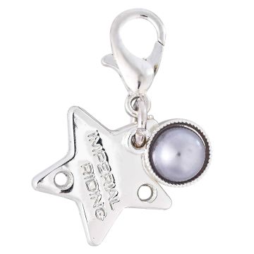 Bridle Charms IRH-Birthstone silver, set of 12 pcs -  Silver