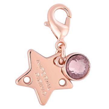 Bridle Charms IRH-Birthstone rosegold, set of 12 pcs - - Roségold