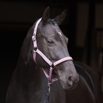 Headcollar IRH-Rebel -  Ballerina
