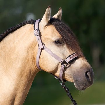 Headcollar IRH-Jewel Mesh -  Marble
