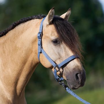 Headcollar IRHClassic Sport -  Moonstone