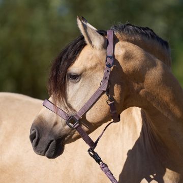 Headcollar IRH-Classic Sport -  Marble