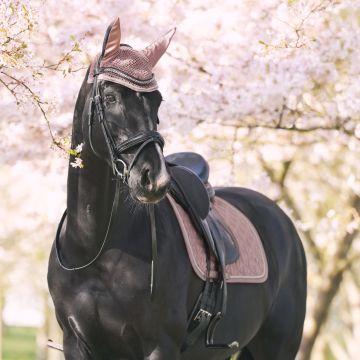 Saddlepad IRH-Lenny dressage -  Marble